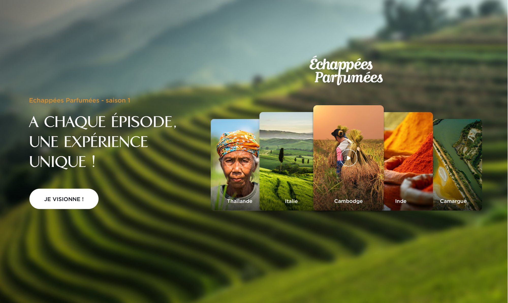 DÉCOUVREZ CINQ ÉPISODES INÉDITS ! 